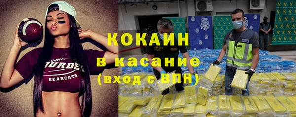 гашик Алзамай