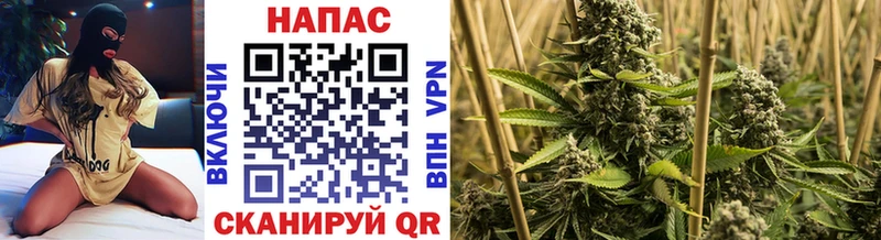 что такое наркотик  Черепаново  МАРИХУАНА планчик 